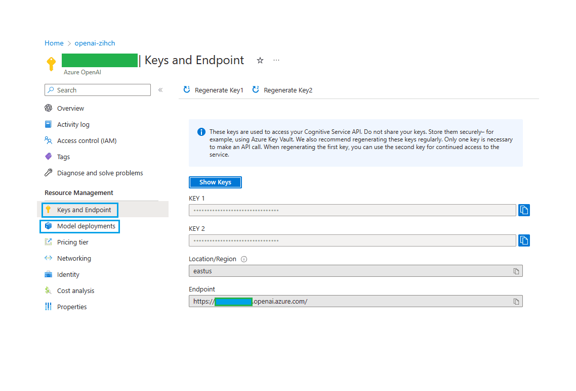 Create an Azure OpenAI Resource